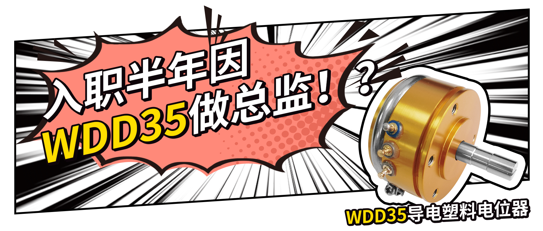 入職半年因WDD35做總監(jiān)？！