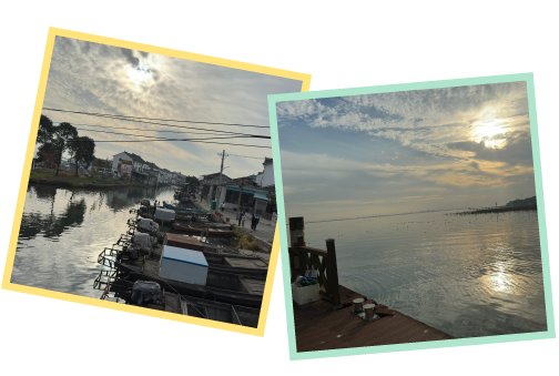 畫板 11.png 畫板 11.png